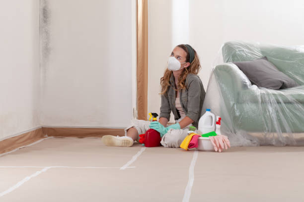 Reliable Mold Removal contractor in Falcon, NC by WQB Mold Removal